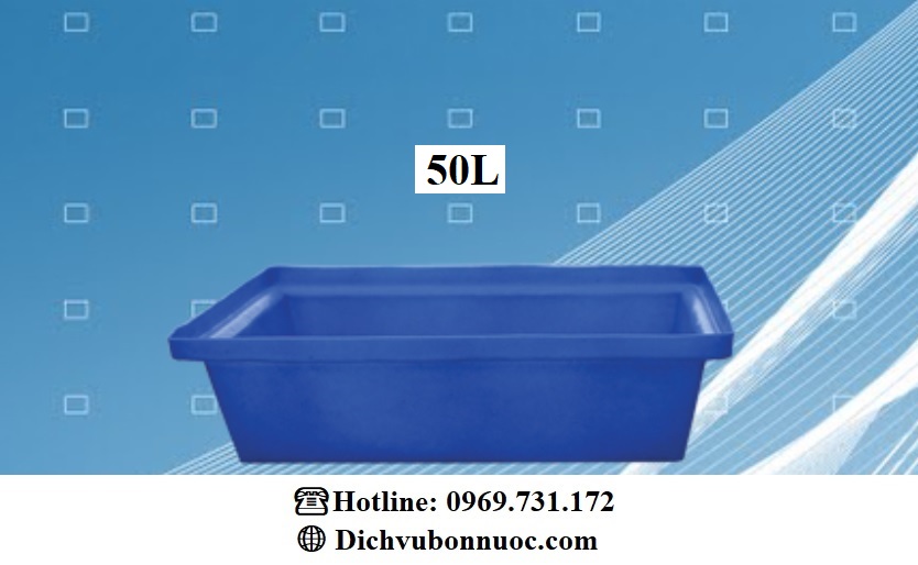 THÙNG NHỰA CHỮ NHẬT 50L